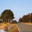 고요목장 이미지