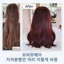 둔촌대로 | 모란역미용실 르비쥬헤어 핑크레드 염색 후기 / 뿌리부터 자연스럽게 톤 맞춘 컬러 체인지