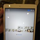 라 메종 블랑쉬 | 라도무스 본식 드레스 - 라메종블랑쉬 셀렉 후기