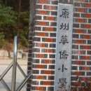 서곡1리(내남송) 경로당 | 2009년 10월 24일의 제15회원주국제걷기대회 참가기 (2)