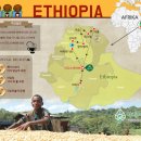 에티오피아 커피와 문화탐방 이야기 이미지