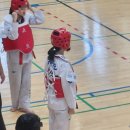 한림태권도체육관 이미지