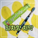 (주)엘지생활건강 | 루치펠로 X 뵈르뵈르 알럽쏘말차 치약 솔직후기