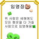 파이안경 이미지