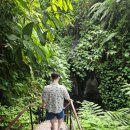 세풍농장 이미지