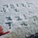 용인대 합기도 주짓수 이미지