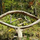 오십년할머니집 이미지