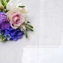 플라워&홈가드닝 이미지