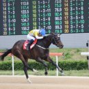 우승목장2 이미지