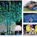 태양카클리닉 이미지