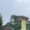 송지 | 파주 메기 매운탕 임진강 근처 송지메기매운탕 후기(포장 가능)