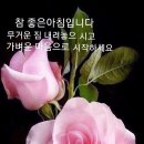 2월 28일 월요일 ㅡ주말과 주일 ㅡ잘 보내셨나요 ㅡ 이미지