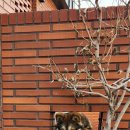 반포대로27길 13 이미지