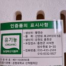 황영순