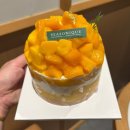 탑농장 | 강남 신세계백화점 케이크 맛집 시즈니크 후기! 입에서 녹는 망고탑케이크