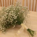 가술농장 이미지