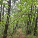 약수봉마을 이미지