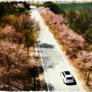 미루stay 이미지