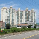 유림-1156 이미지