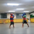 용인대 남부태권도장 이미지