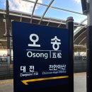 울릉도선창호텔 | 울릉도, 독도에서의 기록