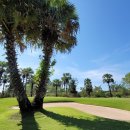 스카이골프랜드 이미지