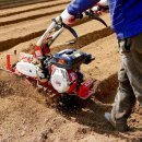 린네약국 이미지