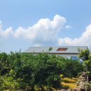 제주 덕수재 이미지