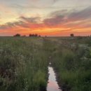 매향리 평화생태공원 이미지