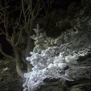 도래기재 이미지