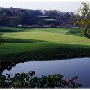 블랙스톤 이미지