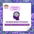 퍼플데이 이미지