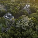 pet04나3710 이미지