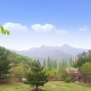 좌구산휴양랜드 | 한국의 자연을 느끼다, 좌구산휴양랜드 방문 후기