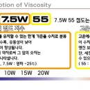 엠제트 퍼포먼스 이미지