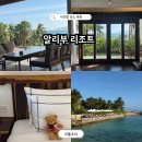 나도유튜브크리에이터 | 나트랑 숙소 추천 알리부 리조트 조식 수영장 내돈내산 상세 후기