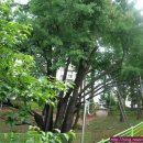 은행동입구 이미지