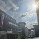 배나무골 | 양재맛집 배나무골오리집 오리코스 솔직 후기