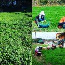 시골떡집 이미지