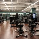 얼라이브 휘트니스 이미지