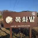 목면시배유지 | 경남 산청 여행 가볼만한곳 목화밭(목면 시배유지)