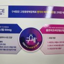 구세정