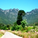 샬롬민박 이미지