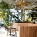 뱀부포레스트(BAMBOO Forest) 이미지