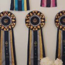 개이쁘다 이미지