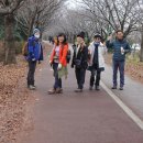 낙동강제방(3) 이미지