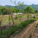 그린흑염소농장 이미지