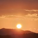 일성생선구이 이미지