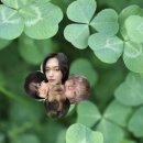 하이큐영상의원 | 5월 햇볕 아래서 증발하고 있는 나…