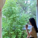 구례진달래집 이미지